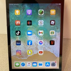 Apple iPad Mini 16GB Storage , Unlocked , WiFi And Cellular 