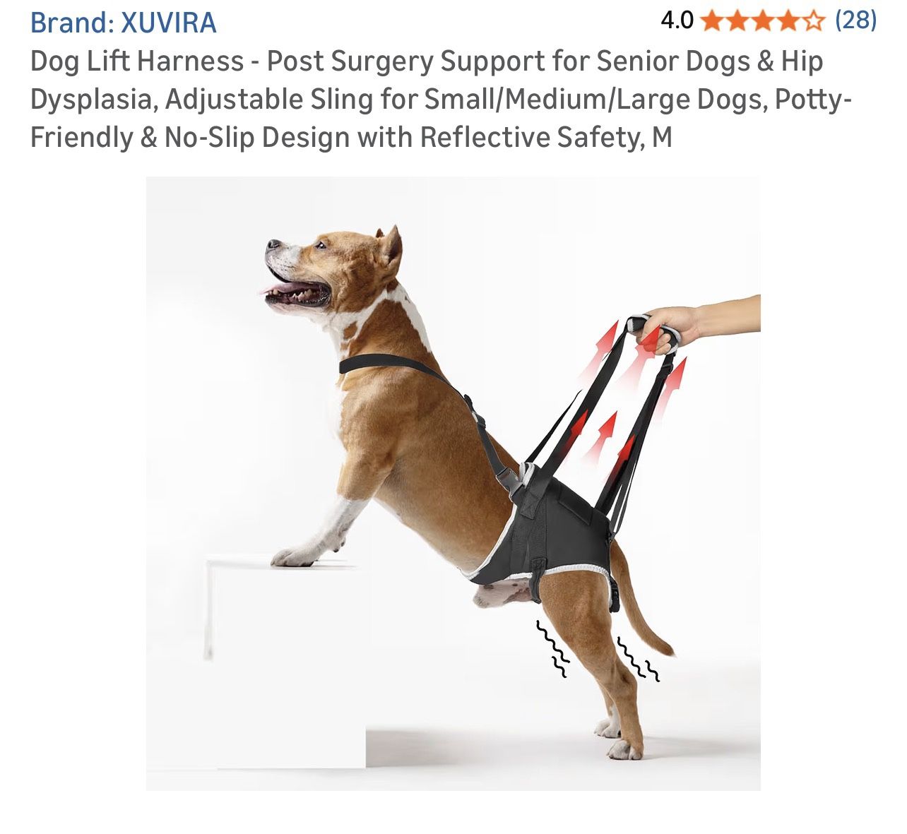 Dog Lift Harness 