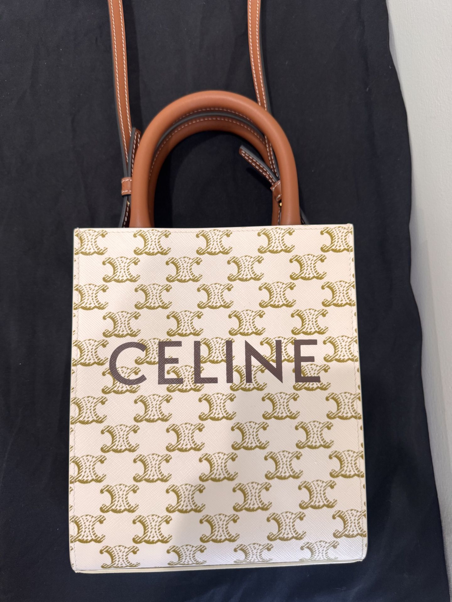 Celine Mini Vertical Tote Bag
