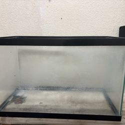 Fish Tank 20 Gallons 
