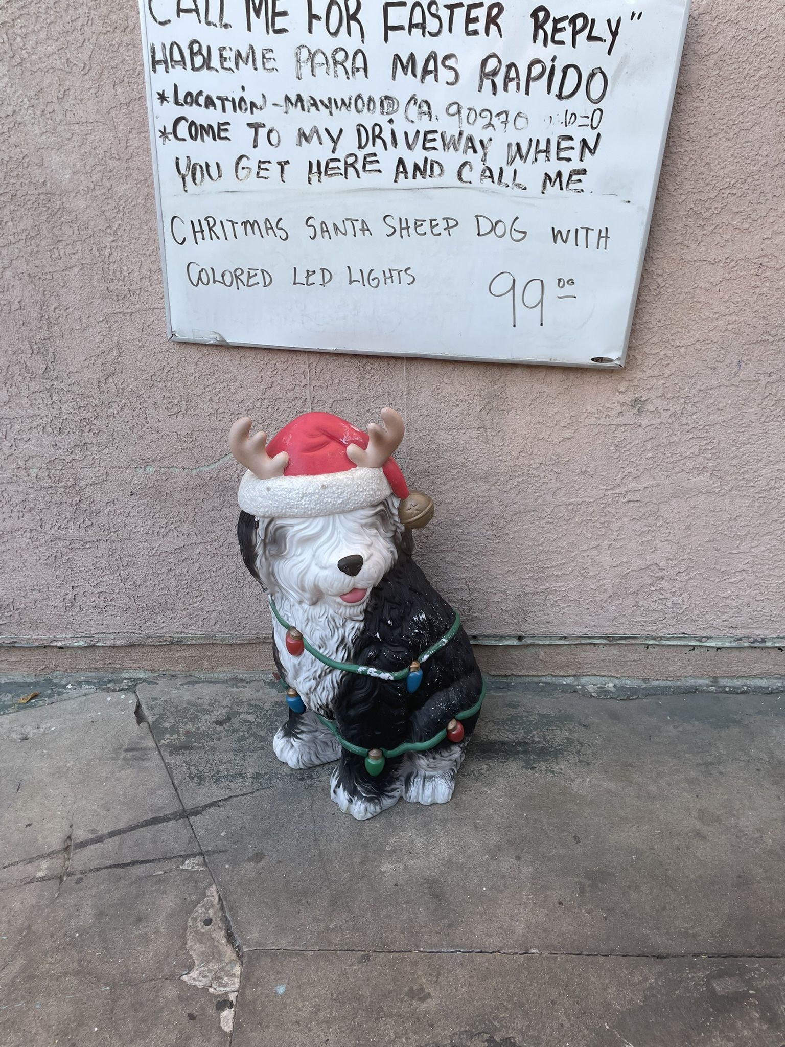 Christmas Santa Sheep Dog