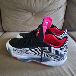 Air Jordan 35 Lows
