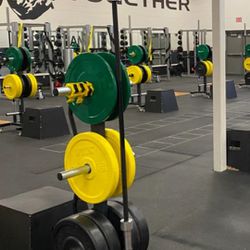 Double Olympic bar and Olympic weight or bumper plate tree weight storage rack with wheels.