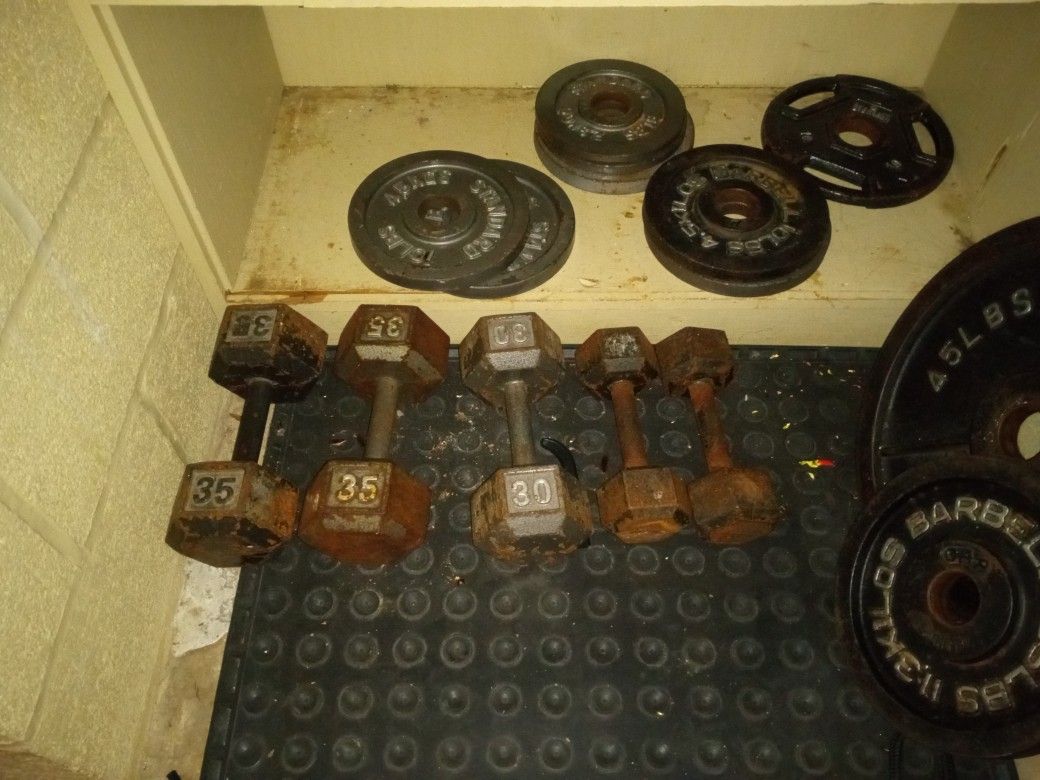 Weights 