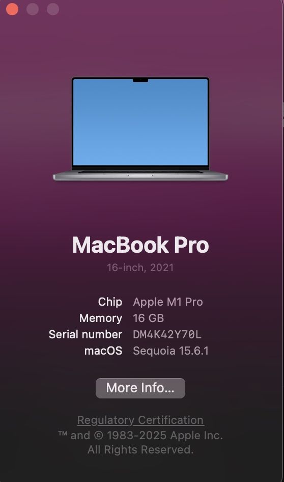 M1 Pro Chip 16 GB Ram 1TB 