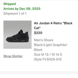 Air Jordan 4 Black Cat