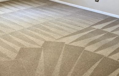 Professional deep steam carpet cleaning