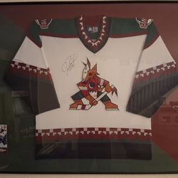 Phoenix Coyotes JERMEY ROENICK autographed Framed Jersey