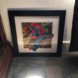 Spider-Man Wall Decor