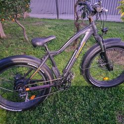 Rad Power Bikes
RadRover 5