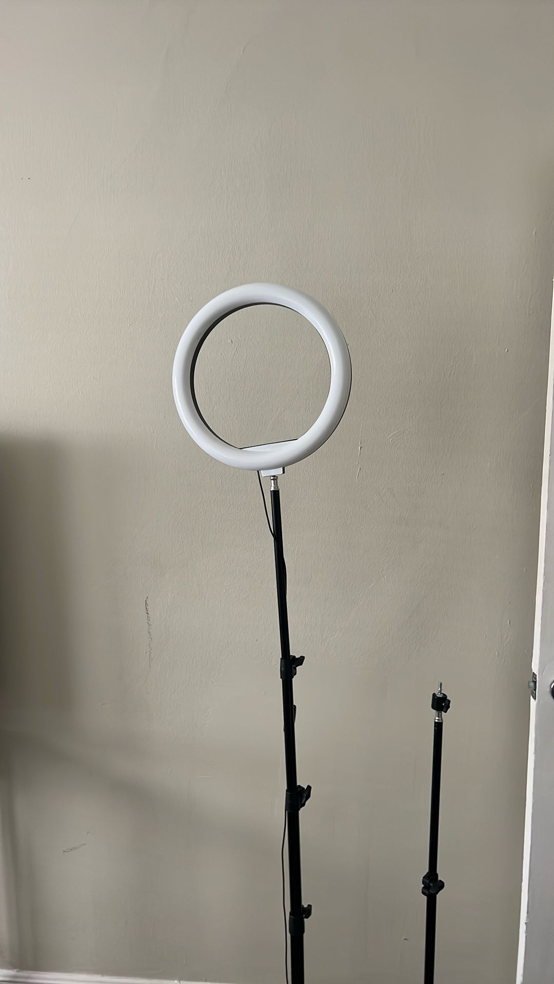 Ring Light With Lights And Stand