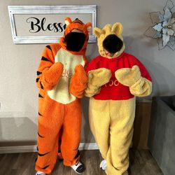Costume Winnie-the-Pooh & Tigger