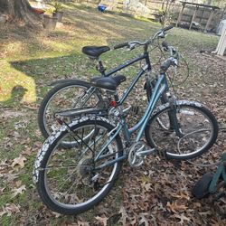 Raleigh 4.0 Bikes. Male And Female 