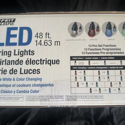 Feit Electric 48’ Bistro LED Light String.