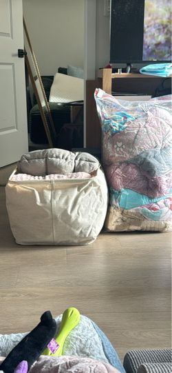 Dog beds/blankets/toys/leashes etc