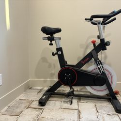 Sunny Exercise Bike