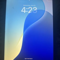 iPad 9th Gen WiFi+cellular