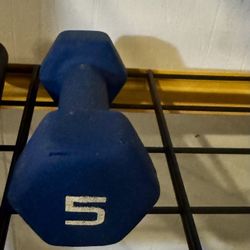 5lb Weight  