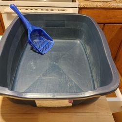 Litter Box and Scooper