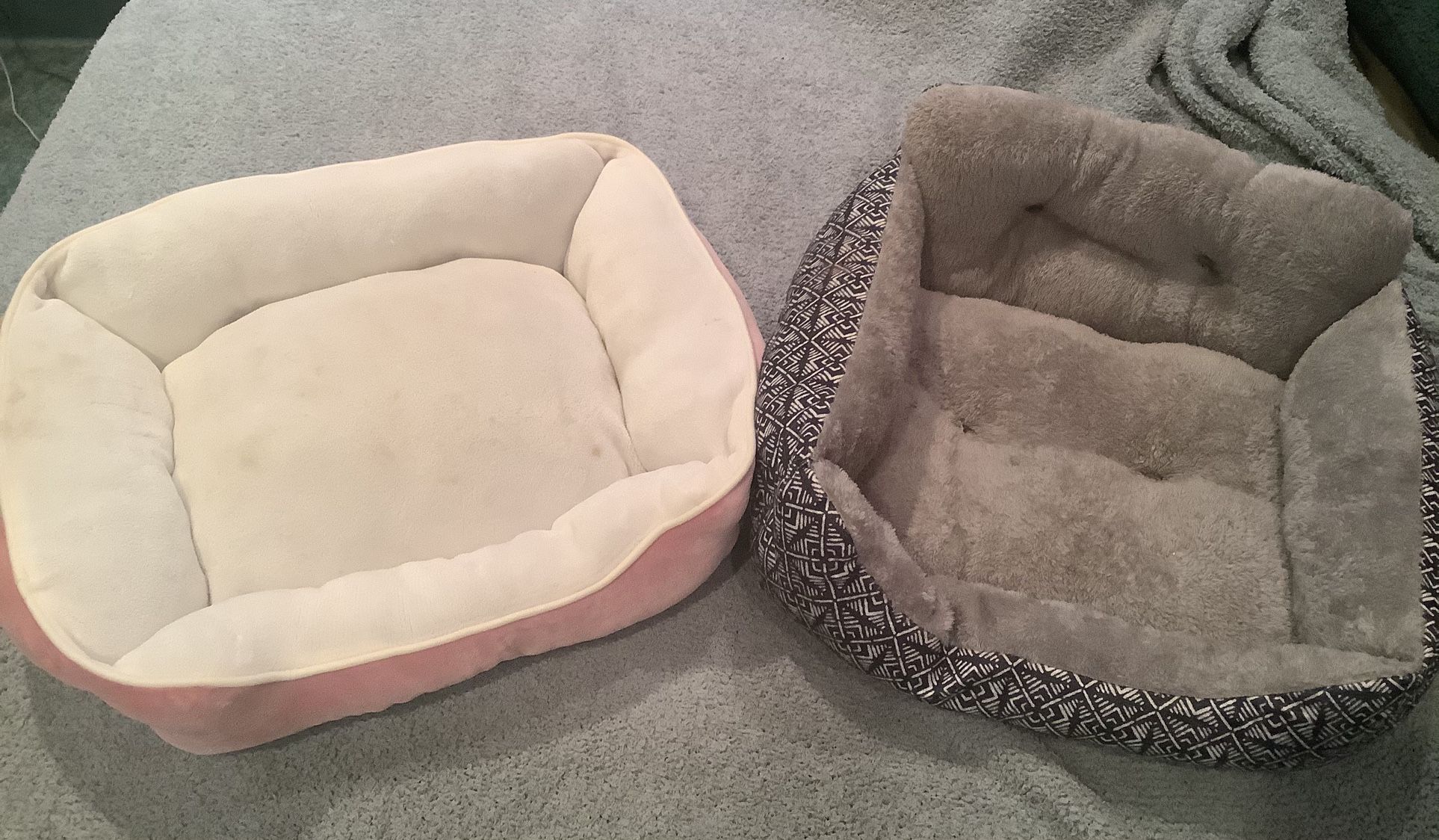 2 Dog Beds For Small Dog