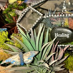 HANDCRAFTED TERRARIUMS MADE WITH MATERIALS FROM ALL OVER THE WORLD TO ENSURE THEY ARE LIFELONG TREASURES! 