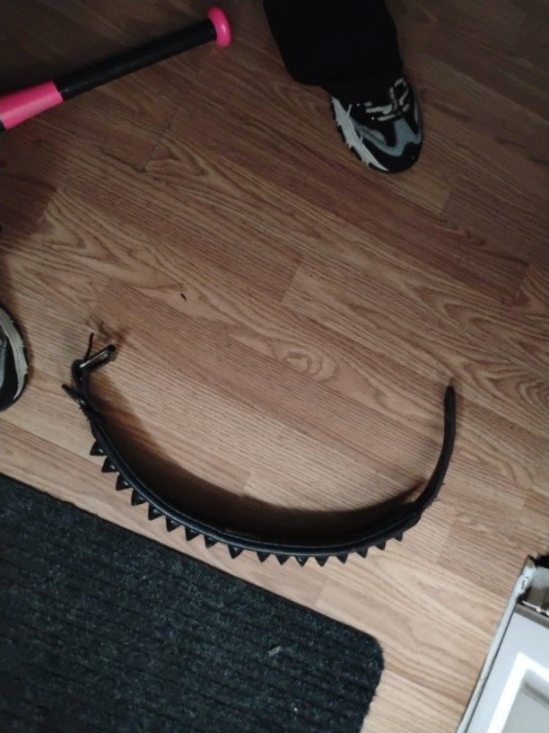 Dog Collar With Spikes