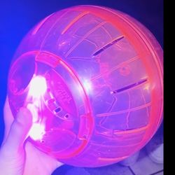 7 Inch Light Up Hamster Ball