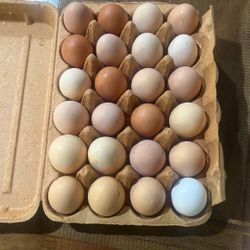 Fresh Eggs