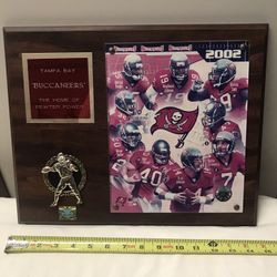 2002 Tampa Bay Buccaneers Super Bowl Champions Commemorative Plaque with Gold Brad Johnson No.14 Official NFL Merchandise 13”x 15” in Excellent Condi