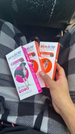 Mexican Flea dog pills