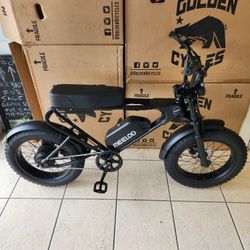 New Meelod Dk200f Electric Bike 