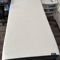 2 Weeks Old Lucid Memory Foam Mattress, Twin XL