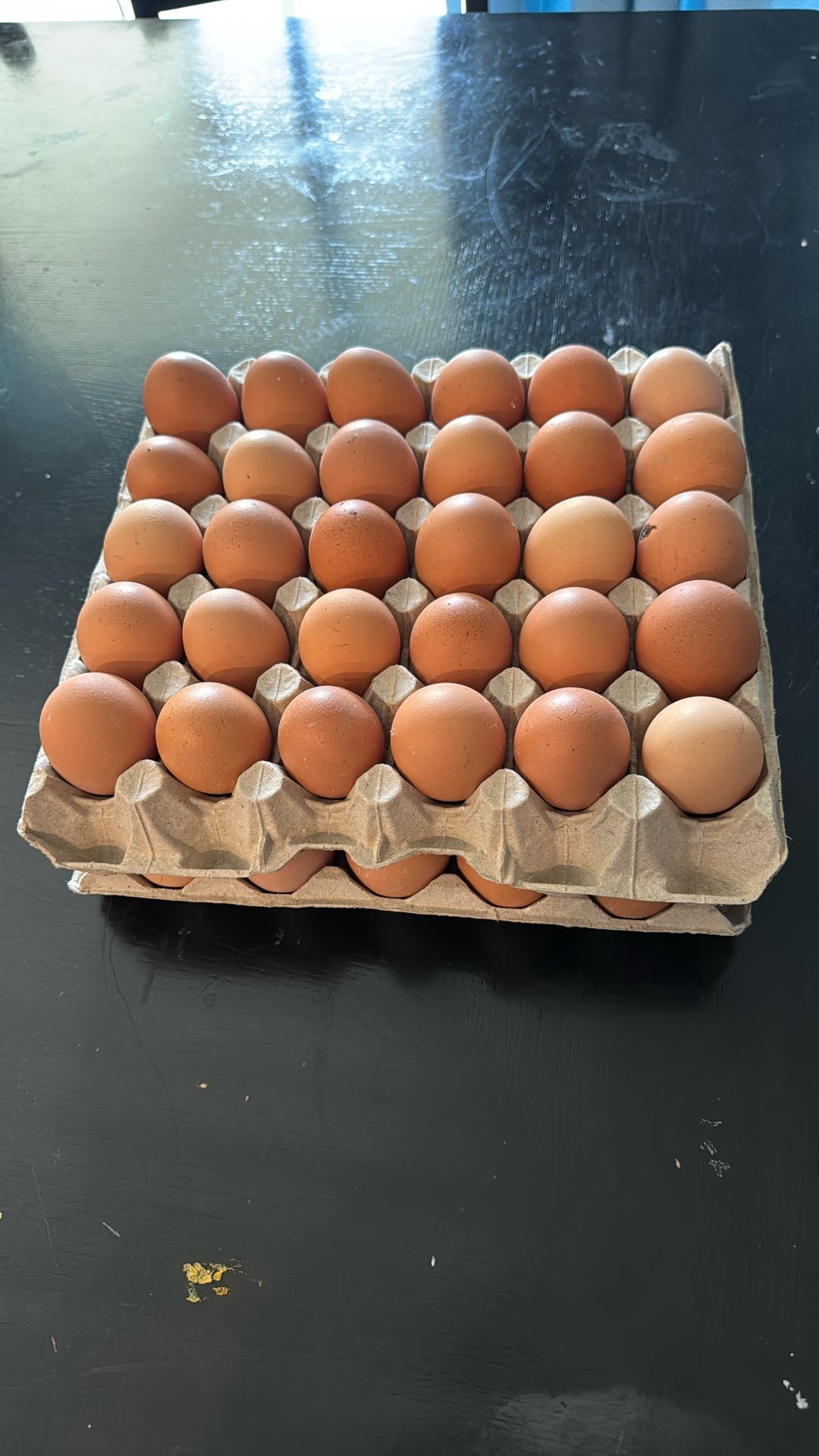 Huevos Orgánicos