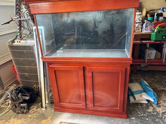 60 gallon aquarium