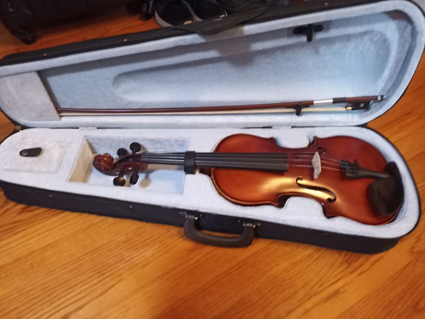 Violin brand new comes with extra strings