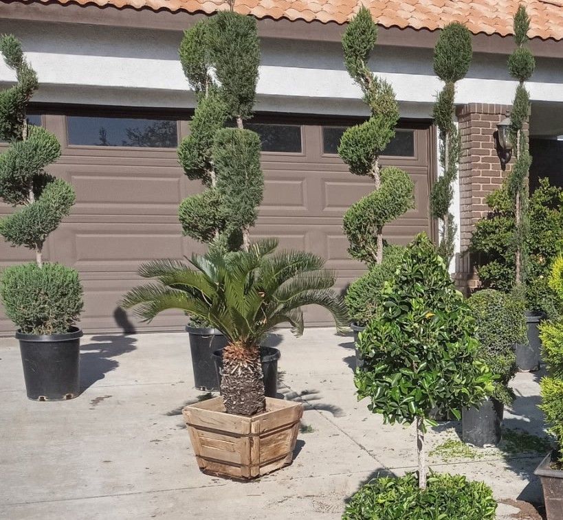 Topiaries