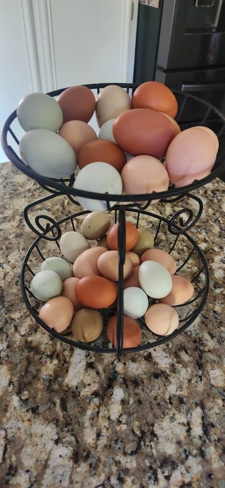 Fresh Farm Eggs $5 A Dozen