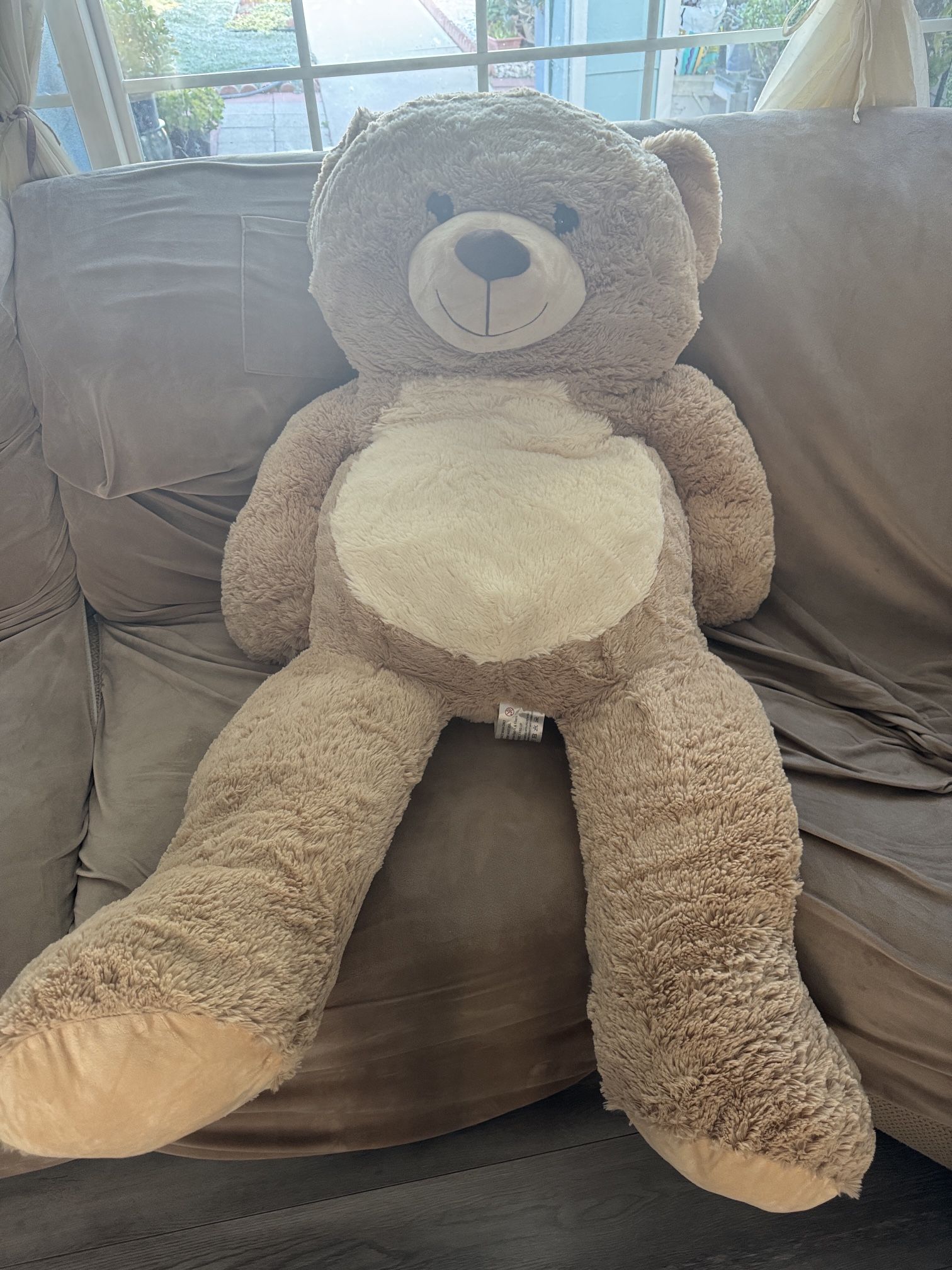 Giant Teddy Bear