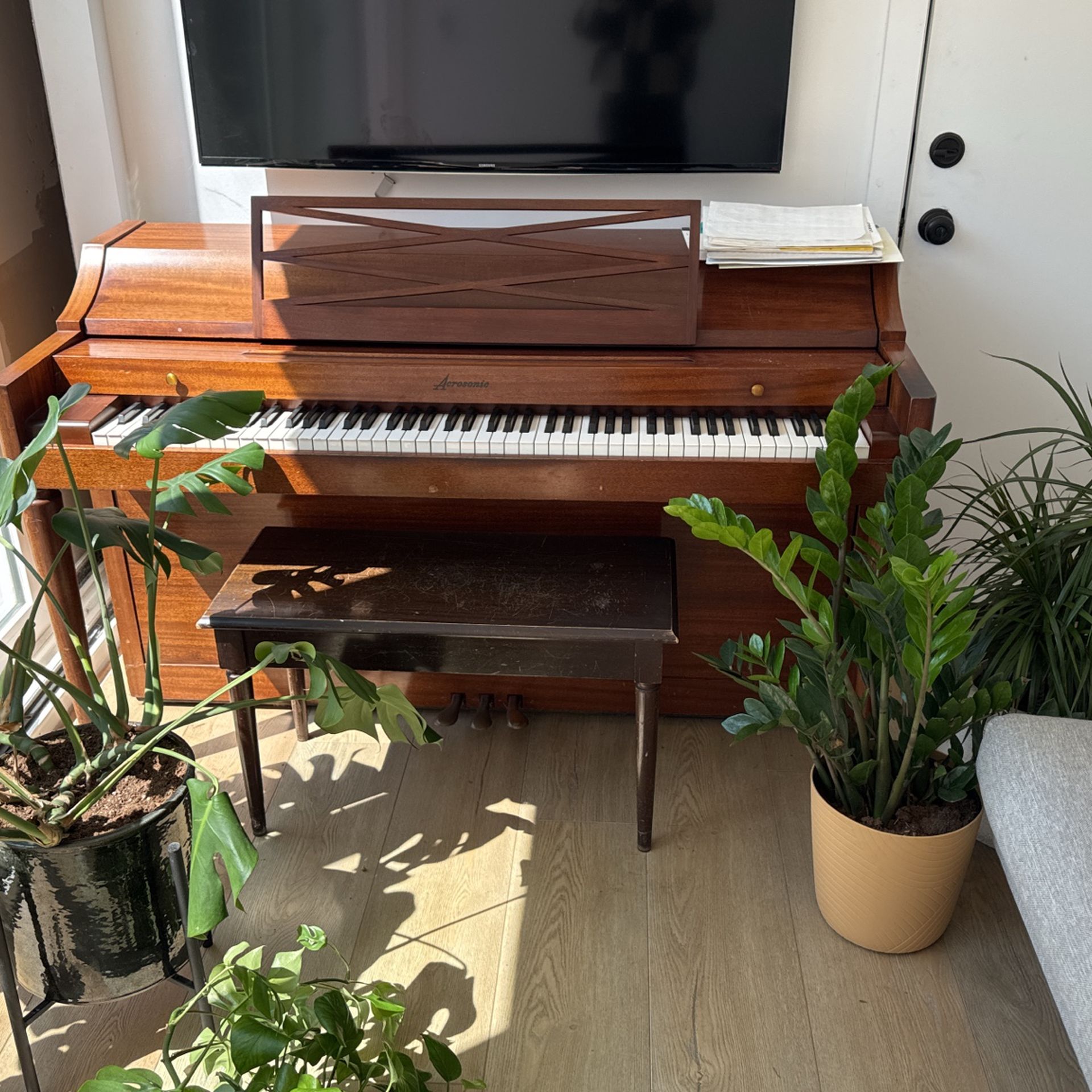 Gorgeous acrosonic Piano