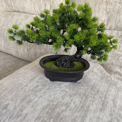 Mini Plastic Bonsai Tree