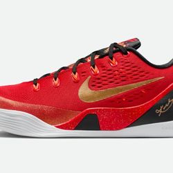 Nike Kobe 9 Protro Low