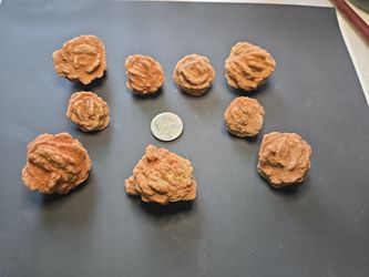 Authentic Oklahoma Rose Rocks - 250 Million Years Old