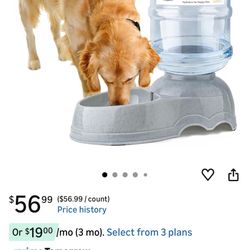 Dog Water Dispenser With Charole Filter 