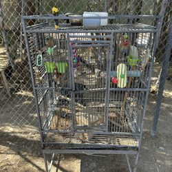 Bird Cage 