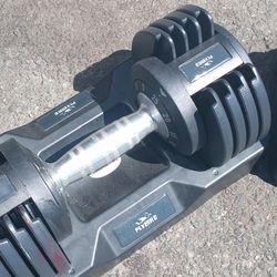 Flybird 25 Pounds 