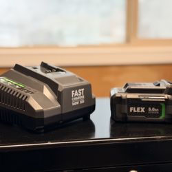 Flex 5ah lithium and 160watt fast charger