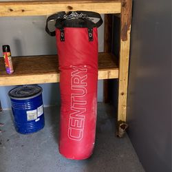 Century Punching Bag