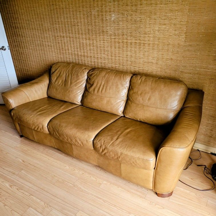 Sleeper Couch/Sofa