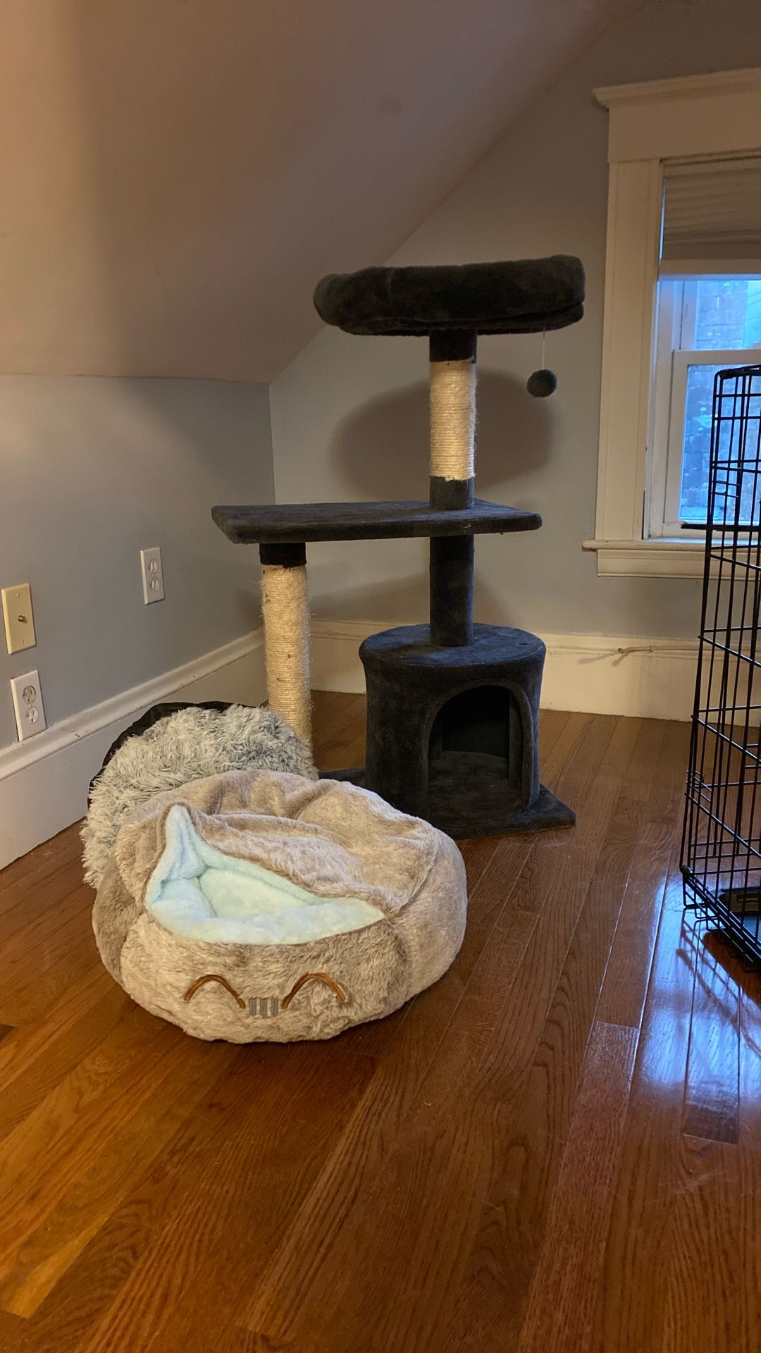 Cat Tree & Bed