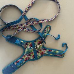 Multi Colored  Kitten Size Harness 